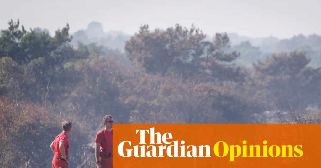 The Guardian view on wildfires: firefighters can’t handle this crisis alone | Editorial