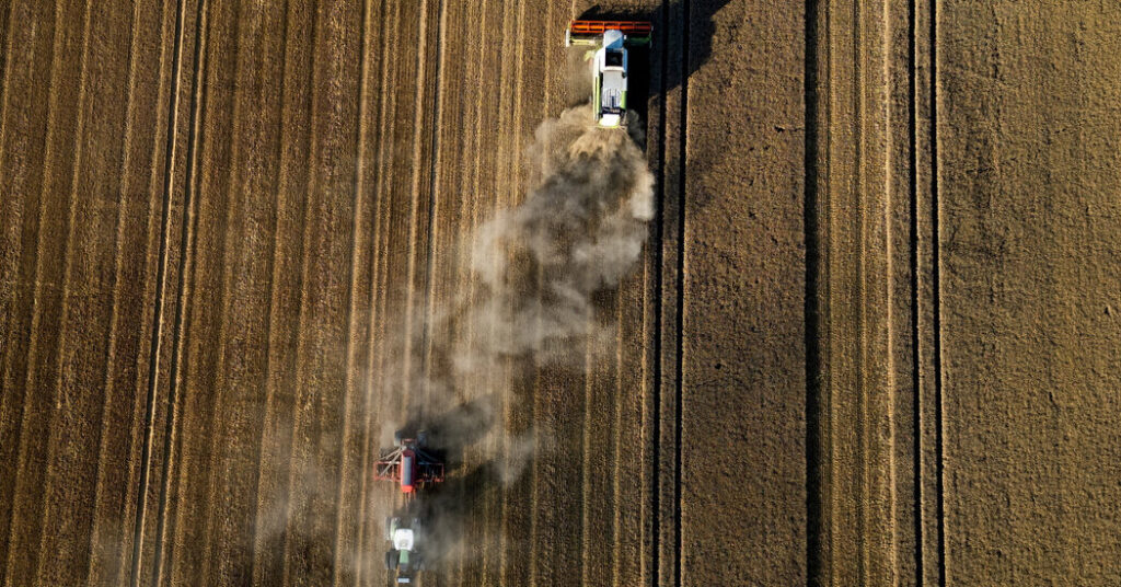 The Price of Bread – The New York Times