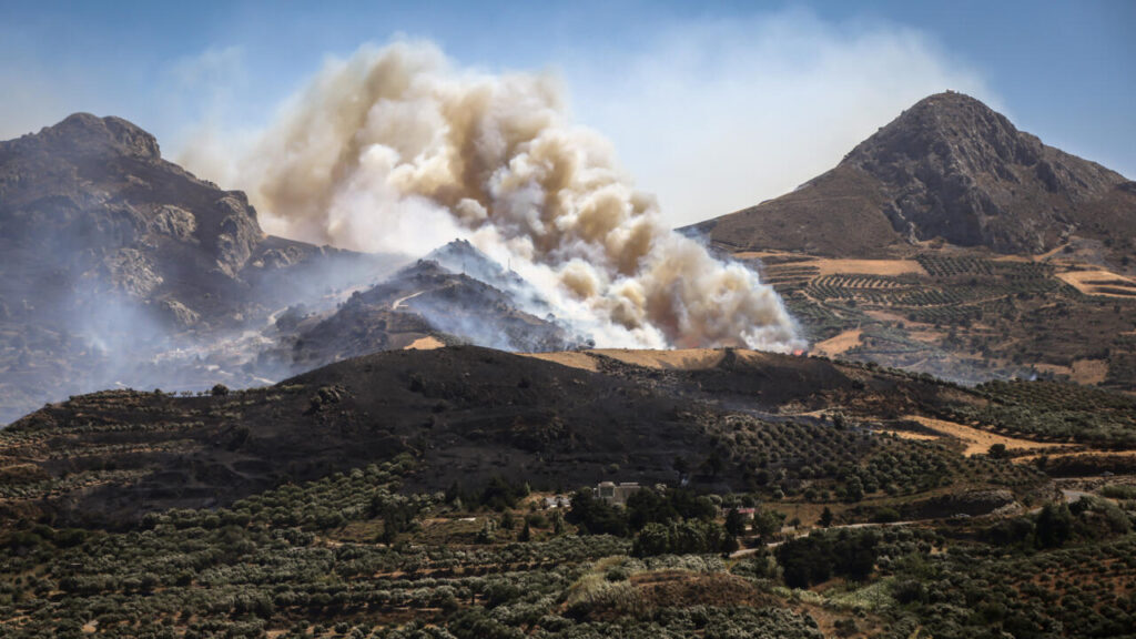 The week in pictures: European wildfires, a woolly mammoth and a migrant influx at Spain’s Ceuta