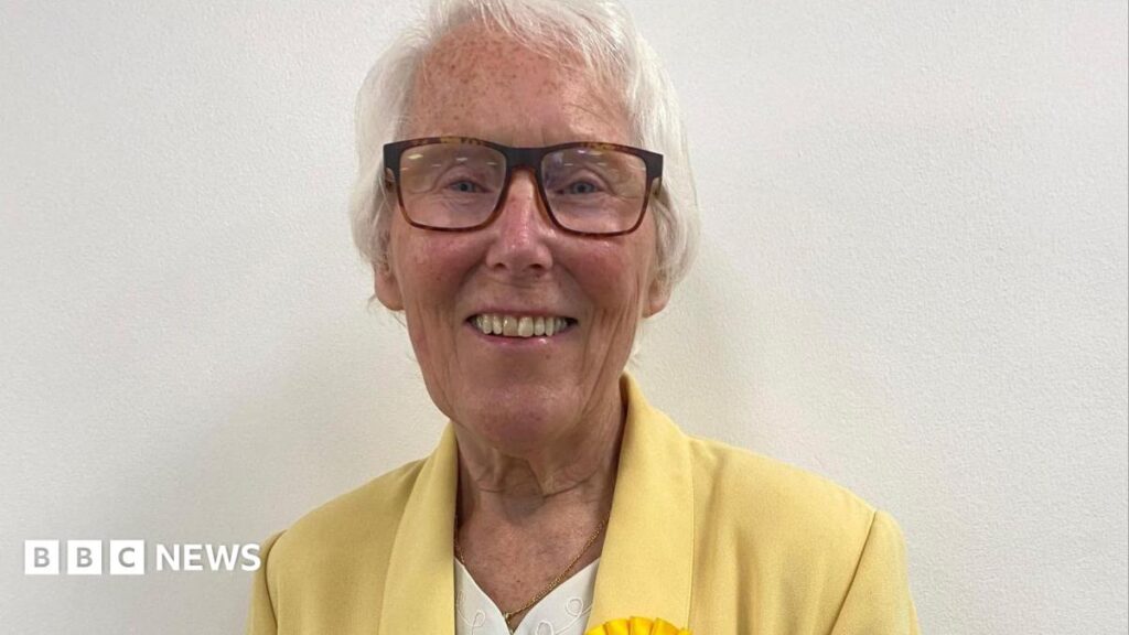 Trial of facts over former councillor’s “bigoted” tweets