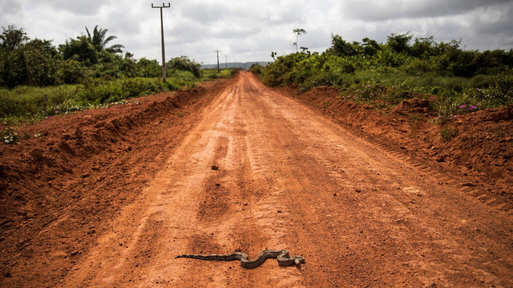 Under protection: The environmentalist’s widow in Brazil who had to disappear to survive