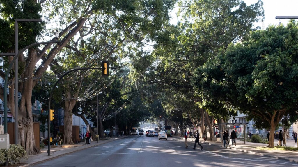 Urban heat islands have solutions; many tropical cities can’t afford them