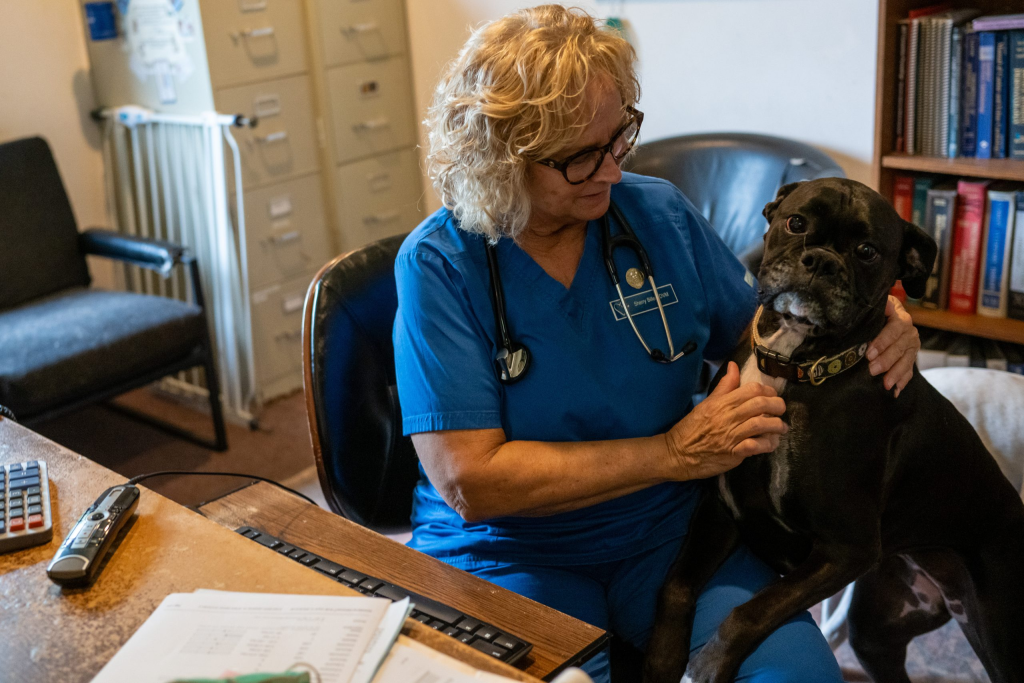 Vet shortage overwhelms clinics, leaves owners to drive hours for emergency care