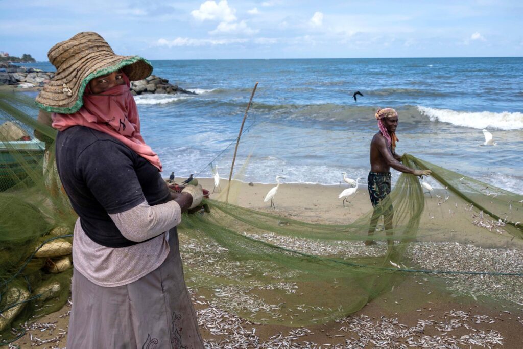 46% of wild-caught fish could be fed to farmed fish and shrimp by 2040, says report