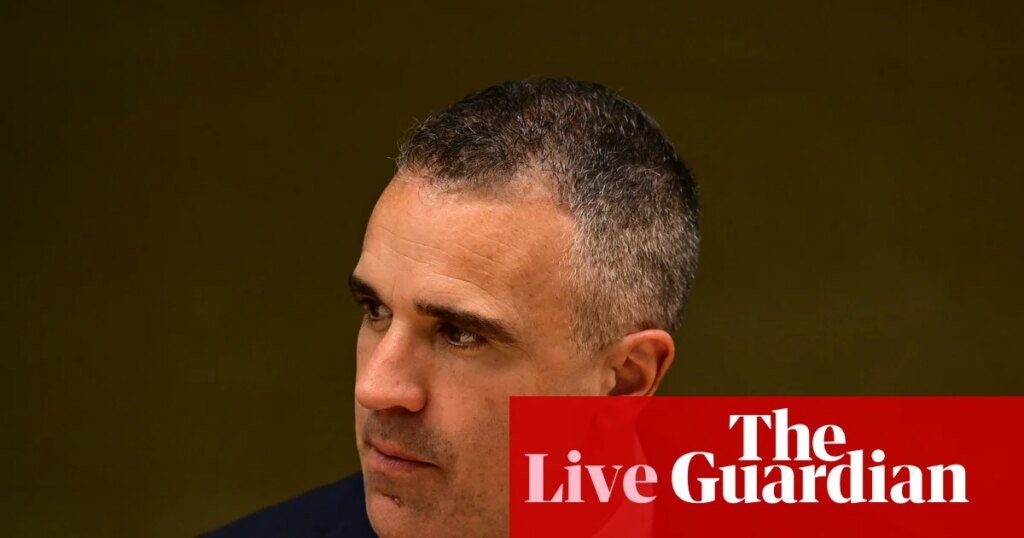 Australia politics live: Malinauskas warns Albanese not to follow One Nation down rabbit hole of migration cuts | Australia news