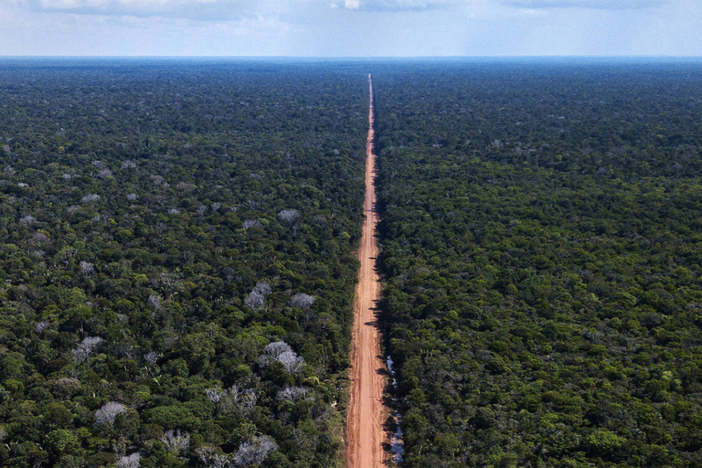 Brazil creates four Amazon reserves as plans to pave rainforest highway advance