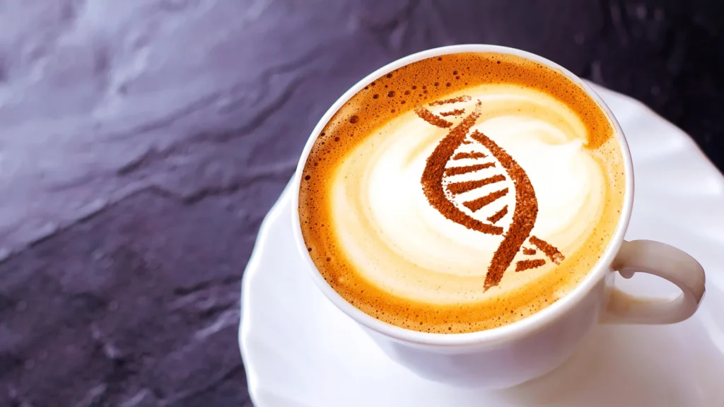 Caffeine may flip an ancient cellular switch linked to slower aging
