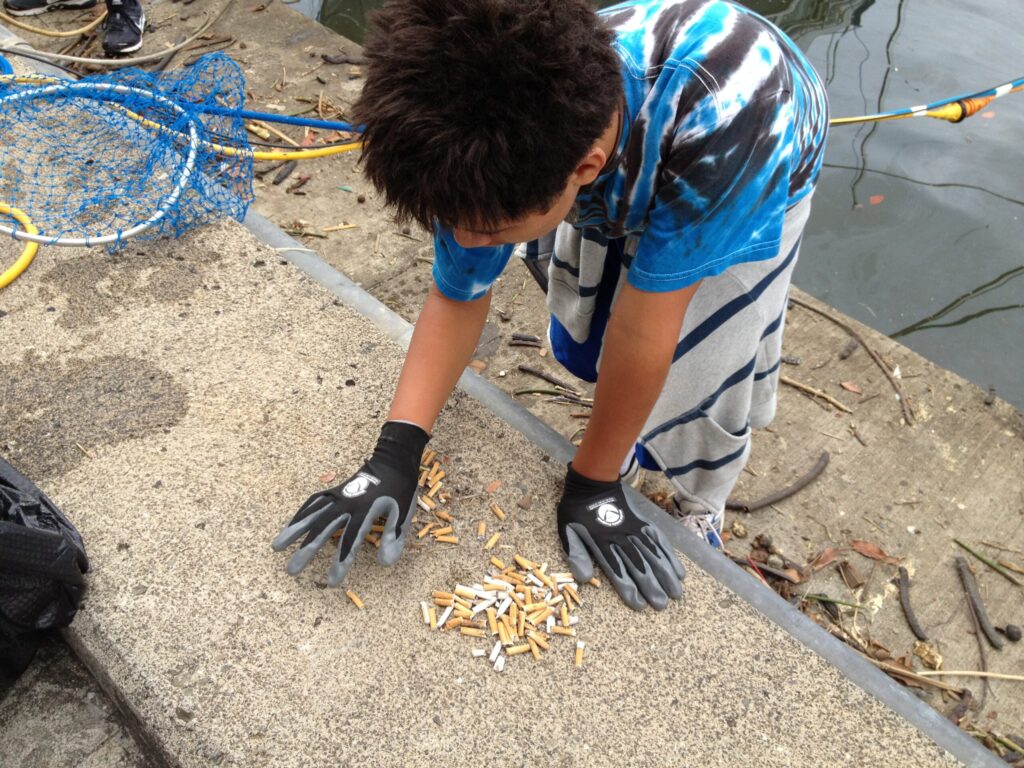 Cigarette butts make up 12% of aquatic litter, global review finds
