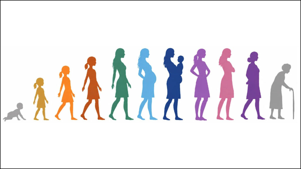 During menopause, brain changes surprisingly take a break