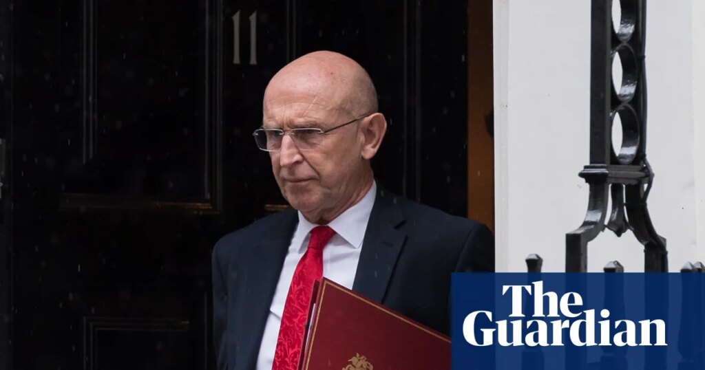 Healey appoints Labour manifesto writer, fuelling election speculation | Labour