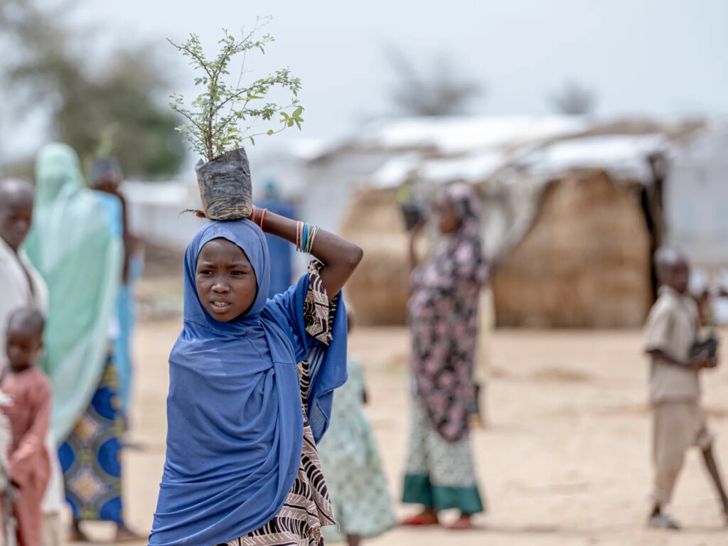 Hundreds flee homes in Far North Cameroon after armed group raid kills 15 | Conflict News