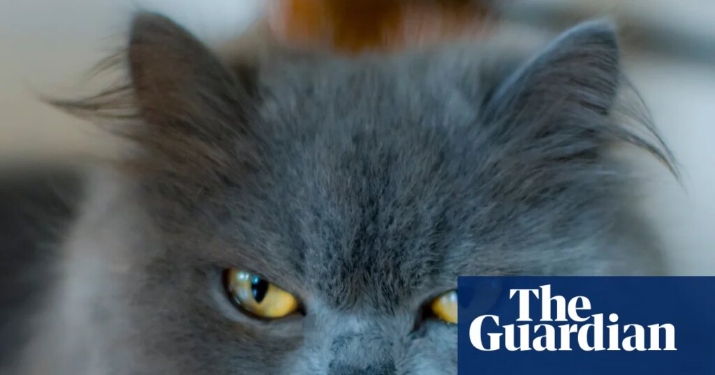 If looks could kill, I’d be in real trouble | Social etiquette