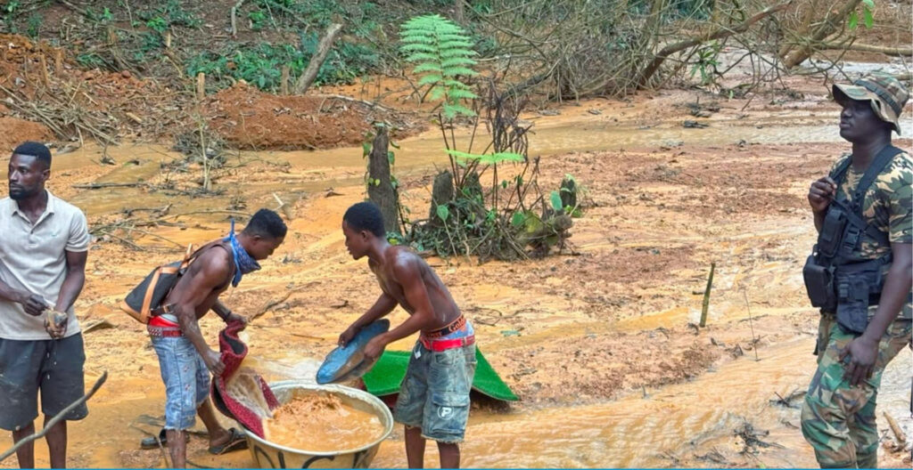 Illegal mines threaten biodiversity and drinking water in Ghana’s Atewa Forest