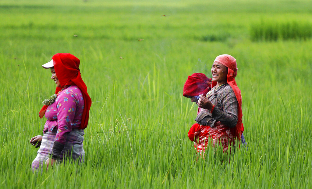 In Nepal, women seek ownership rights to the lands they tend