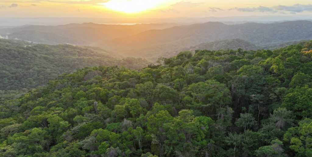 In Panama’s Darién, Indigenous communities test a new way to fund conservation
