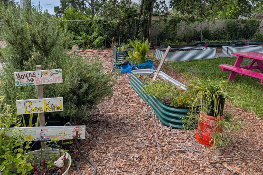 In Tampa, Community Gardeners Say They Need More Funding, Not More Information, to Feed Neighbors in Need