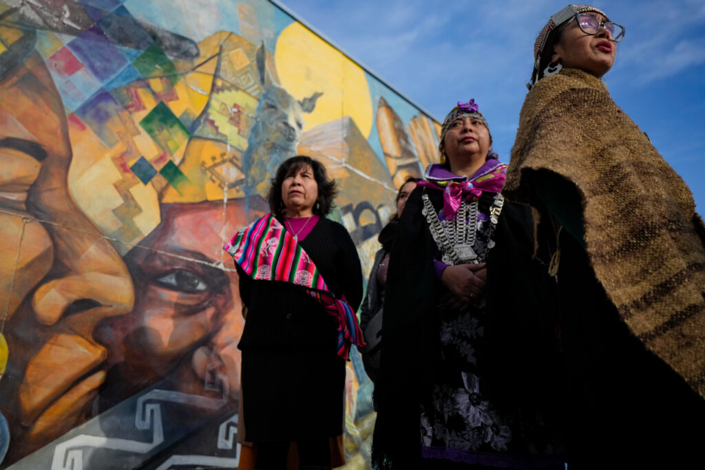 Indigenous land back in Chile brings mixed bag of environmental outcomes: Study