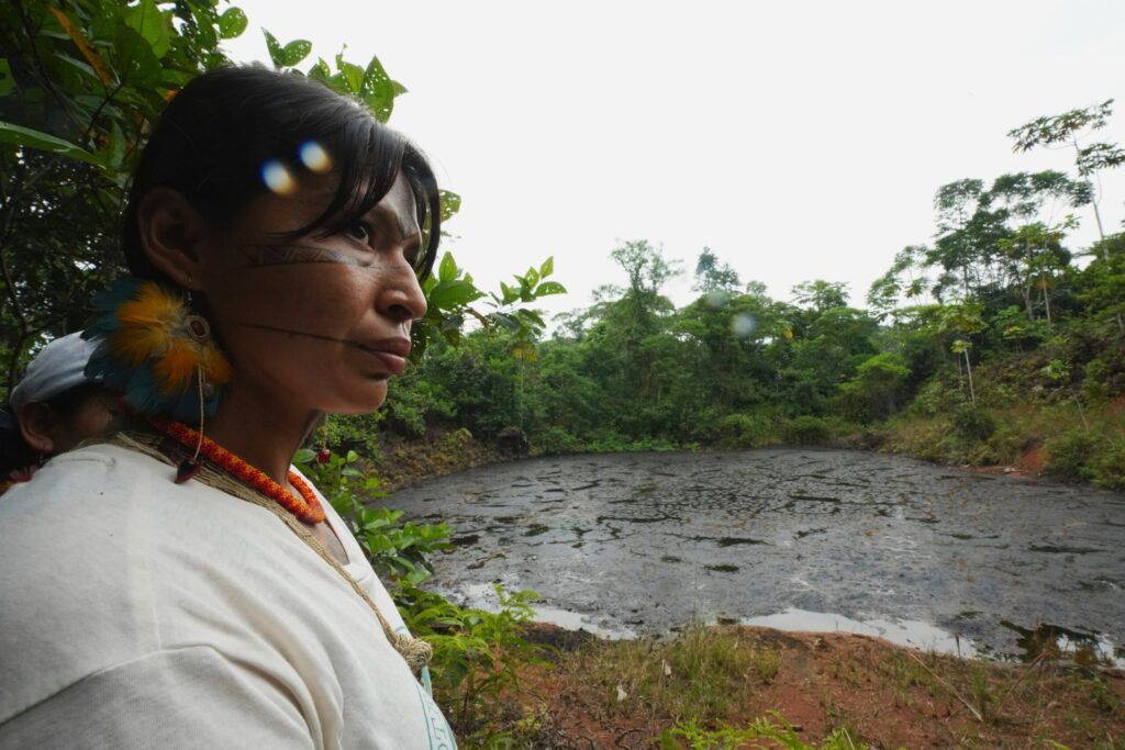 Indigenous territories maintain Amazon forest just as well as protected areas, study finds