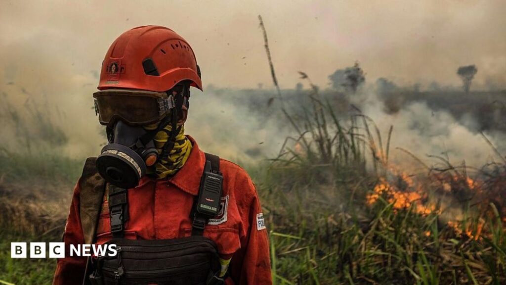 Indonesia fires: Toxic haze spreads across South East Asia amid ‘super’ El Niño