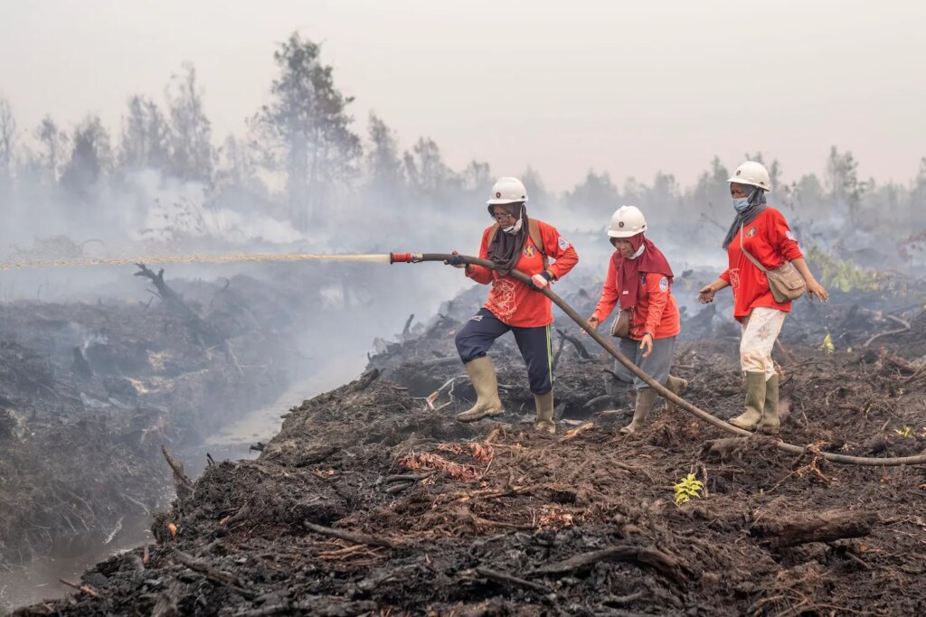Indonesia’s Worst-Ever Forest Fires Caused by Plantations, El Nino