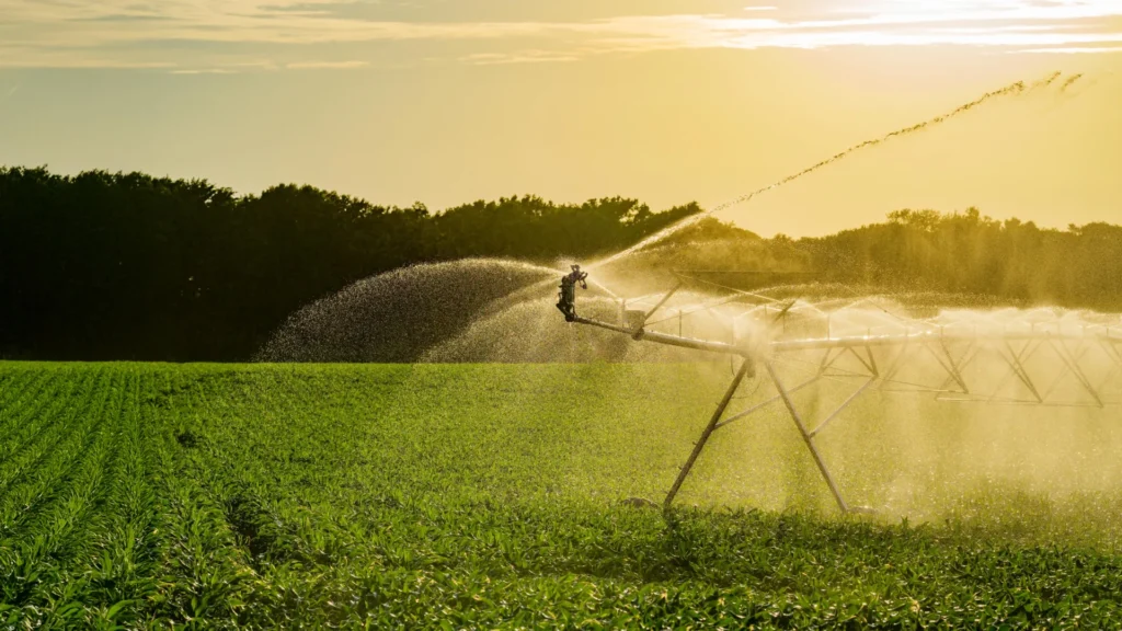 Irrigation’s climate benefit could equal 363 years of its own emissions