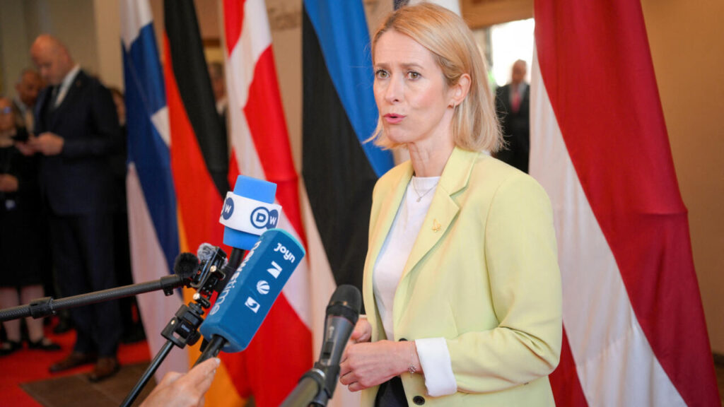Leaders urge EU to expand Arctic presence amid Russia ‘threat’