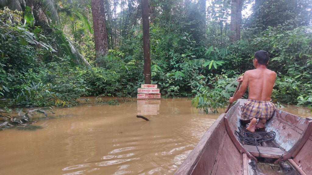 Logging still threatens Bornean forest once envisioned as an Indigenous-led peace park