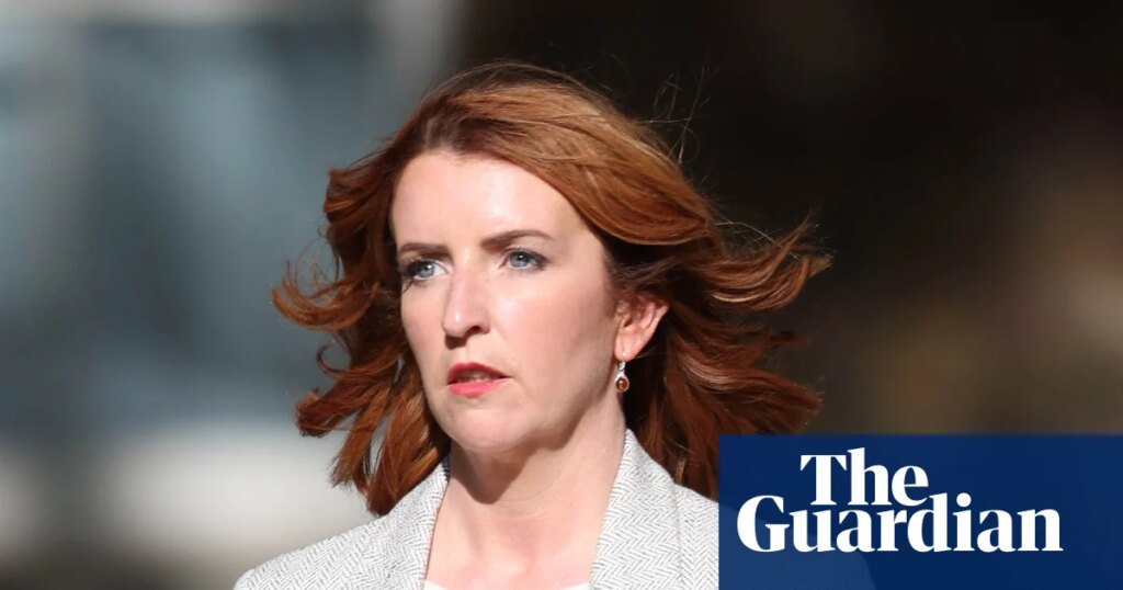 Louise Haigh: UK must heed warnings from AI experts | AI (artificial intelligence)
