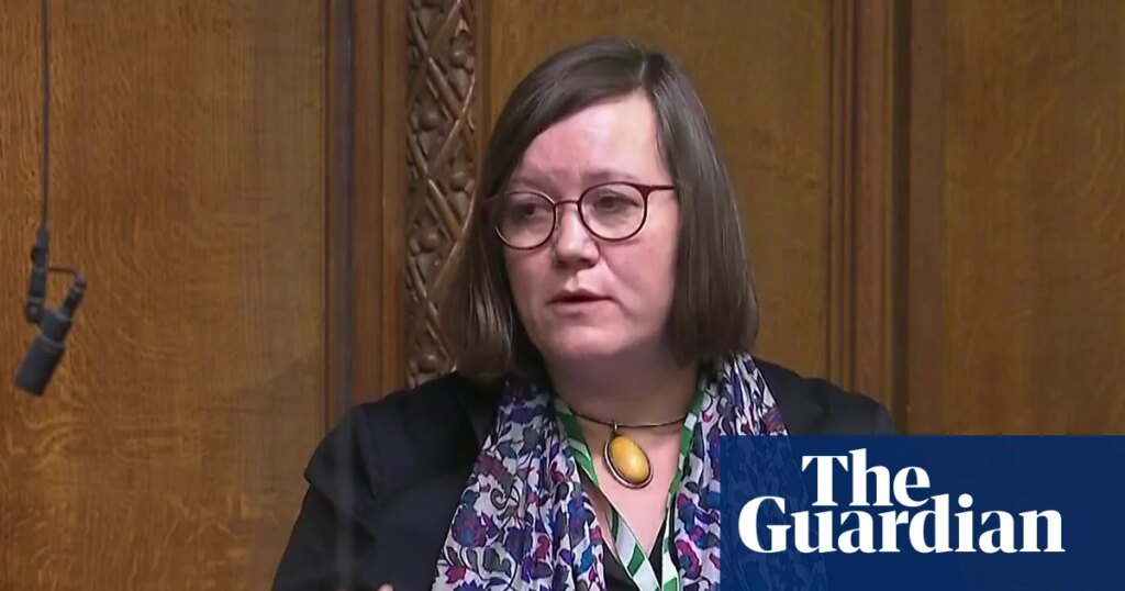 MPs on both sides urge Commons not to take ‘extraordinary risk’ of forcing through assisted dying bill | Assisted dying