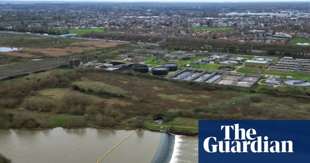 Mayors and other local leaders could be given powers to oversee water firms | Water industry