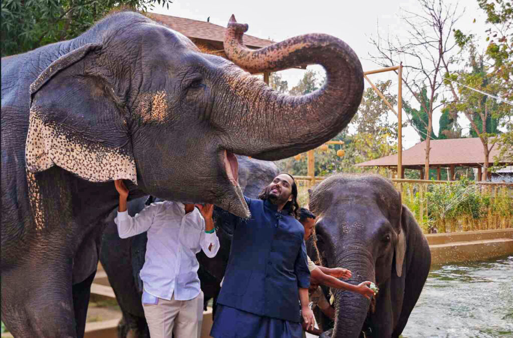 NGOs call on Vantara to end all wild animal imports permanently
