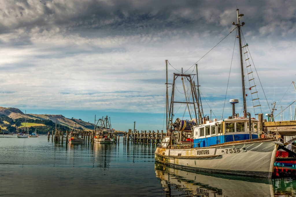 New Zealand put fishing boats under camera surveillance. Will it stay the course?