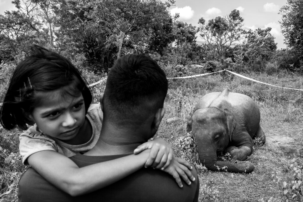Photographing Sri Lanka’s human-elephant conflict — Interview with Federico Borella