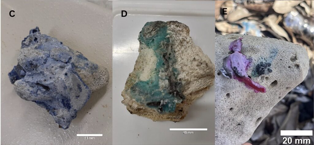 Plastic fused to coral rubble raises new concerns for ocean pollution