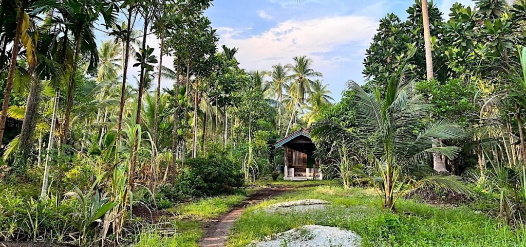 Rooting tree seed production in local knowledge boosts forest restoration outcomes (commentary)