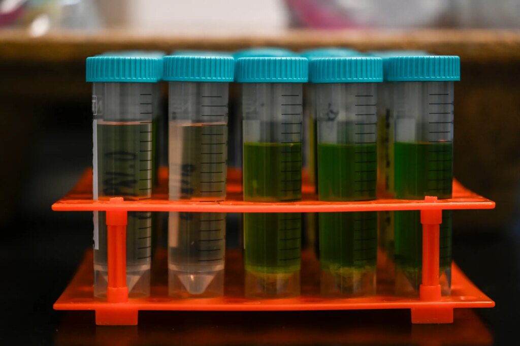 StayCon Marijuana Company Recalls Dozens of Contaminated Products — ProPublica
