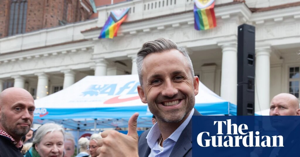 The AfD thrives in the absence of mainstream parties that speak to people’s daily lives | Alternative für Deutschland (AfD)