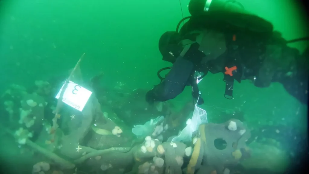 This German submarine sank in 1917. It’s still leaking TNT