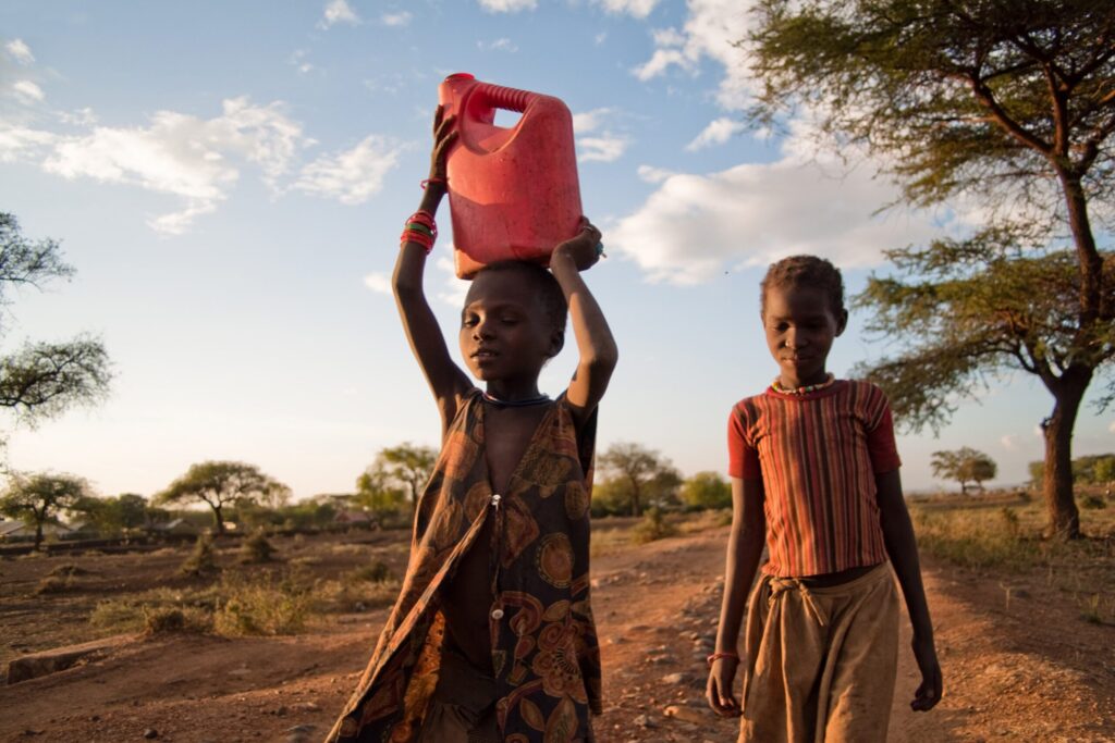 Uganda pastoralists turn to wild plants as food shortages bite, study finds