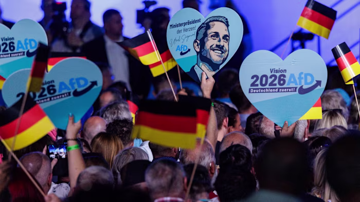 Who is voting for the far-right Alternative for Germany?