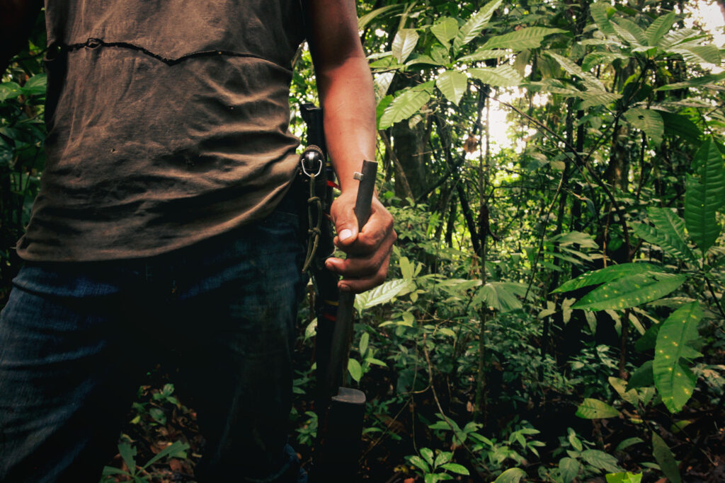 A rare victory for multilateralism in the fight against environmental crime (commentary)
