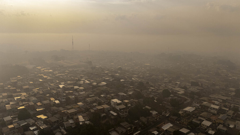Amazon fires trap Manaus in smoke as authorities target arsonists