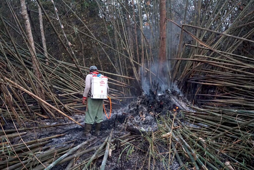 As fires spread, Indonesia’s rubber growers draw on traditional ways to fight back
