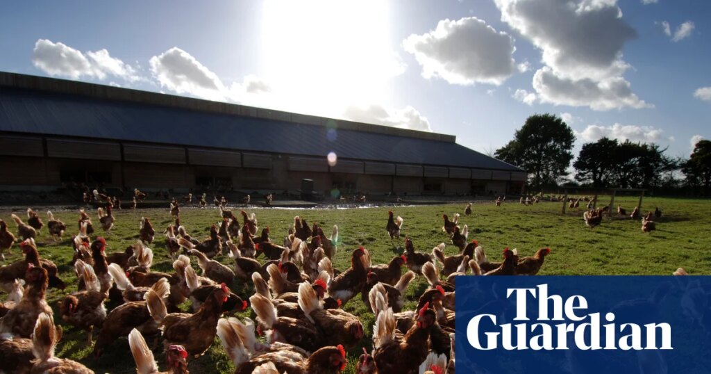 British food and drink exports to EU collapse by more than a third since Brexit | Food & drink industry