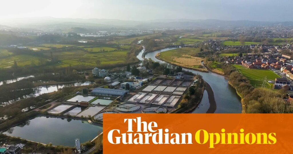 Burnham, take note: water shareholders have their uses – they can be squeezed for cash | Nils Pratley