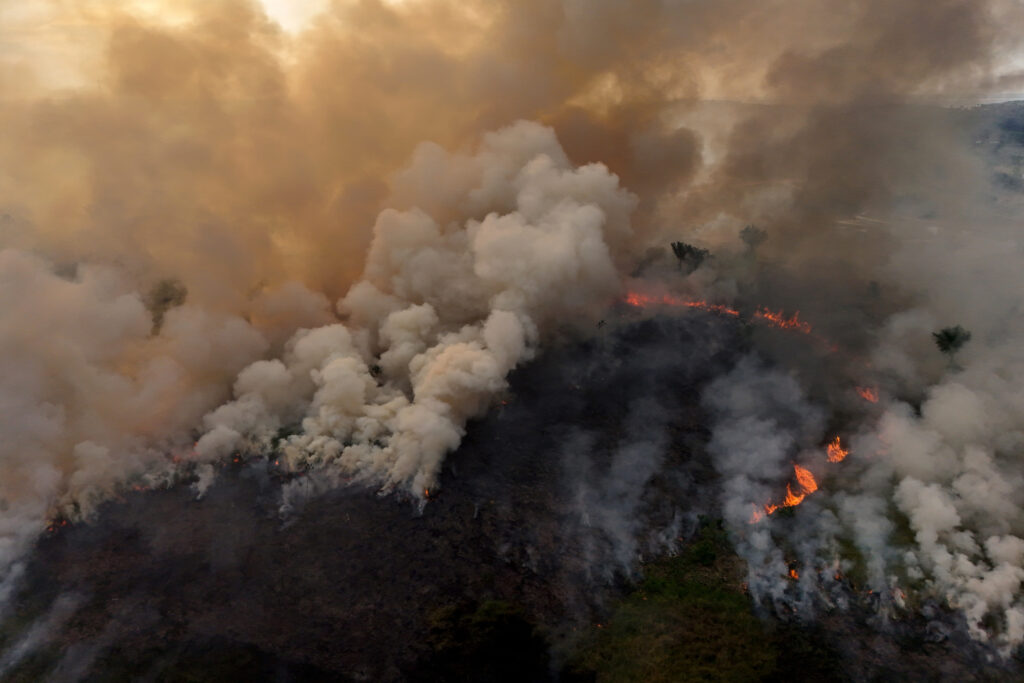 Compounding Climate Impacts Drive Tropical Forest Decline