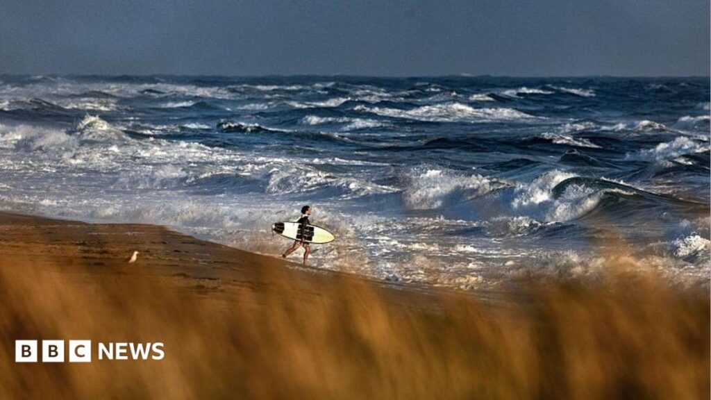 Debris found from medical plane that went missing off US coast