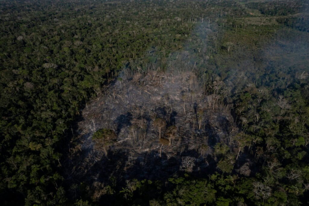 Deforestation in Brazil’s Amazon and Cerrado savanna at lowest rate ever recorded