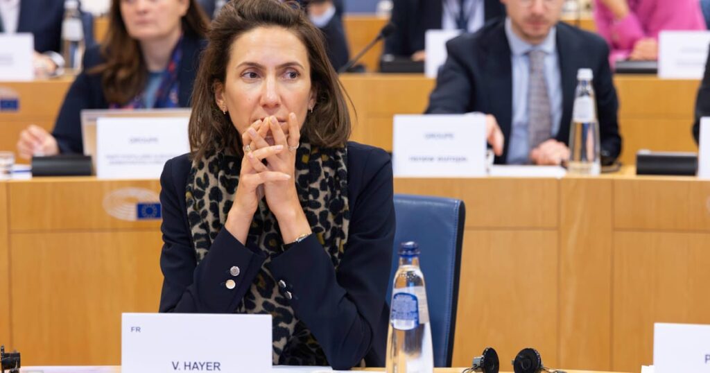 EU liberal chief urges conservatives to shun far right ahead of big election year – POLITICO