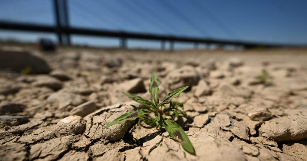 EU prepares for a grim future with new climate-proofing law – POLITICO